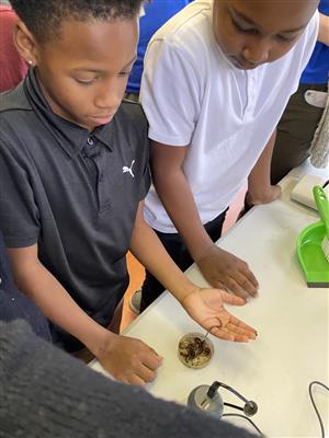 students exploring worms at Belle Isle Aquarium 
